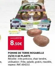 sunce p!  la clavette  8.50€  pomme de terre rosabelle 25/35 x 60 plants  récolte: très précoce, chair tendre, utilisation : frite, salade, gratin, rissolée, vapeur. réf. 604232 