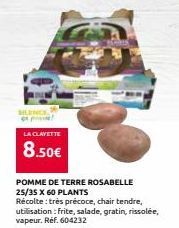 SUNCE p!  LA CLAVETTE  8.50€  POMME DE TERRE ROSABELLE 25/35 X 60 PLANTS  Récolte: très précoce, chair tendre, utilisation : frite, salade, gratin, rissolée, vapeur. Réf. 604232 