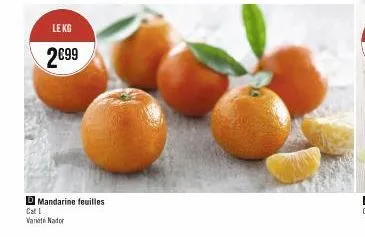 le kg  2€99  d mandarine feuilles  cat i variador 