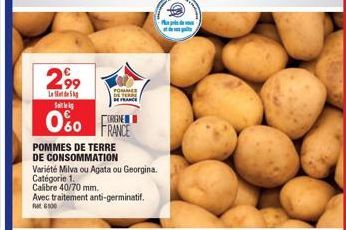 pommes de terre 