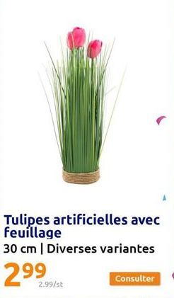 tulipes 