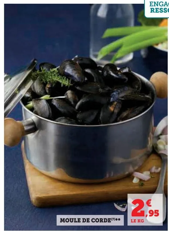 moule de corde