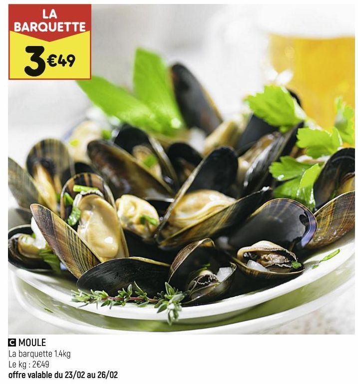 MOULE