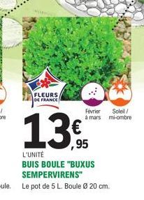 ***  FLEURS DE FRANCE  Février  Soleil/  à mars mi-ombre  13€  ,95  L'UNITÉ  BUIS BOULE "BUXUS SEMPERVIRENS"  Le pot de 5 L. Boule Ø 20 cm. 