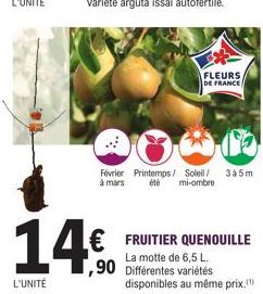 L'UNITÉ  14€  ,90  FLEURS  DE FRANCE  Février Printemps/ Soleil/ 3a5m à mars été mi-ombre  € FRUITIER QUENOUILLE  La motte de 6,5 L. Différentes variétés  disponibles au même prix. 