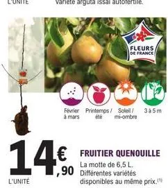 l'unité  14€  ,90  fleurs  de france  février printemps/ soleil/ 3a5m à mars été mi-ombre  € fruitier quenouille  la motte de 6,5 l. différentes variétés  disponibles au même prix. 