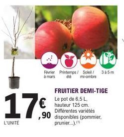 L'UNITÉ  Février Printemps/ Soleil/ 3 à 5m à mars élé mi-ombre  FRUITIER DEMI-TIGE Le pot de 6,5 L,  €hauteur 125 cm.  ,90  Différentes variétés disponibles (pommier, prunier...). 