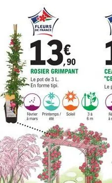 fleurs de france  €  ,90  rosier grimpant  le pot de 3 l.  en forme tipi.  février printemps/ soleil à mars été  3à 6m 