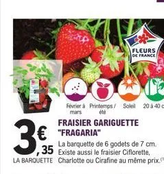 3€  €"fragaria"  fraisier gariguette  février à printemps/ soleil 20 à 40 cm mars  été  fleurs,  de france  la barquette de 6 godets de 7 cm. ,35 existe aussi le fraisier ciflorette,  la barquette cha