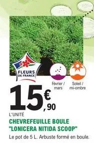 l'unité  fleurs, de france  15€  chevrefeuille boule "lonicera nitida scoop"  le pot de 5 l. arbuste formé en boule.  février/ soleil/ mars mi-ombre 
