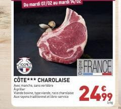 viande bovine 