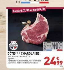 viande bovine 