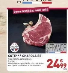 viande bovine 