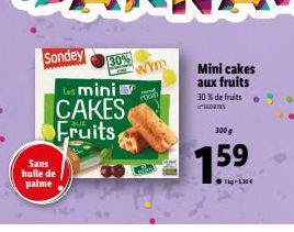 Sondey  Sans huile de palme  Les mini  CAKES Fruits  30%  PODE  300g  759 