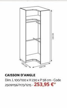 100 CM  100 CM  230 CM  CAISSON D'ANGLE Dim. L 100/100 x H 230 x P 58 cm - Code 25091156/1173/1215-253,95 €™ 