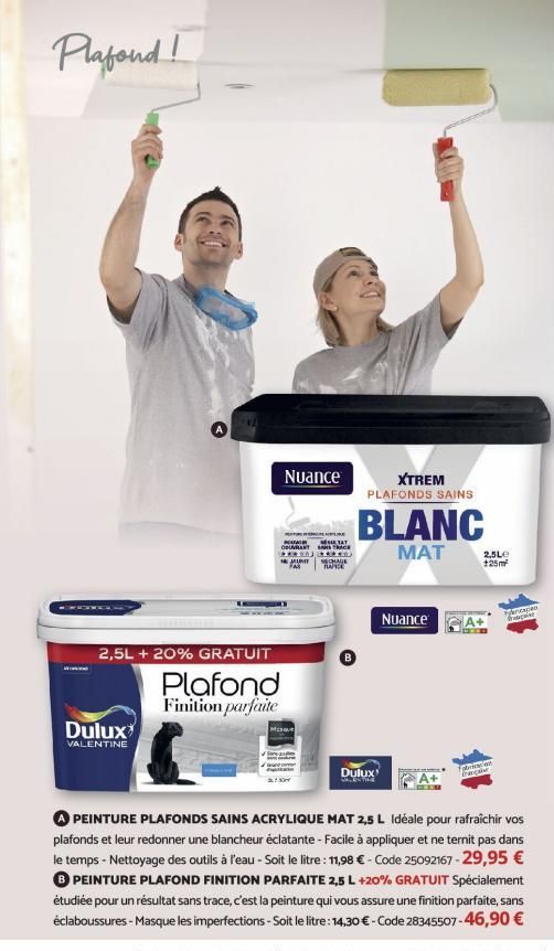 Plafond!  2,5L + 20% GRATUIT  Plafond Finition parfaite  Dulux  VALENTINE  Nuance  TAY  COUVRANT SANS TRACK **********  MUNT BECHAGE KANCE  XTREM  PLAFONDS SAINS  BLANC  MAT  Dulux VALENTIME  Nuance  