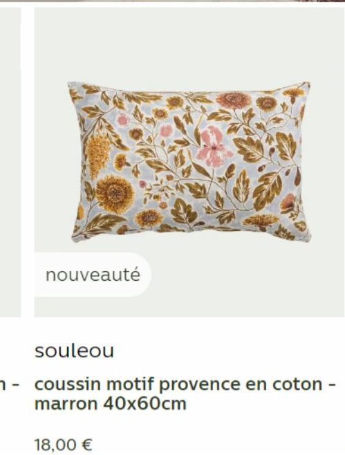 nouveauté  18,00 € 