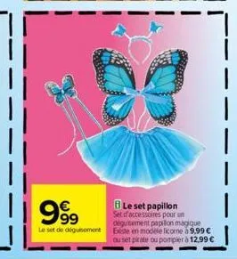 accessoires papillon