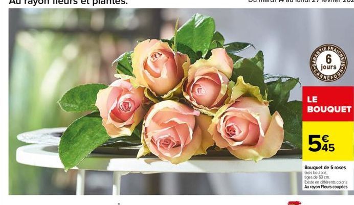 NYOTD CARE  AICHE  6  jours  FOU  LE  BOUQUET  545  Bouquet de 5 roses  Gros boutons, tiges de 60 cm  Existe en différents coloris Au rayon Fleurs coupées 