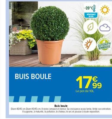 BUIS BOULE  -20°C  RÉSISTANCE AU GEL  SATISFAIT REMBOURSE  17⁹9  Le pot de 10L  Buis boule  Diam 40/45 cm.Diam 40/45 cm. Il reste compact et dense. Sa croissance assez lente, limite son entretien. Il 