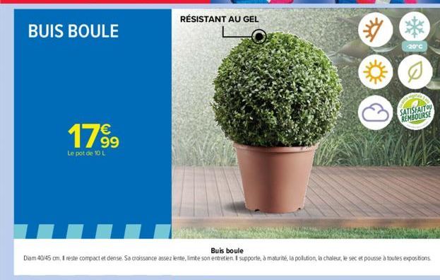 BUIS BOULE  17⁹9  Le pot de 10 L  RÉSISTANT AU GEL  Buis boule  Diam 40/45 cm, 1 reste compact et dense. Sa croissance assez lente, limite son entretien. Il supporte, à maturité, la pollution, la chal