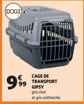 cage de transport gipsy