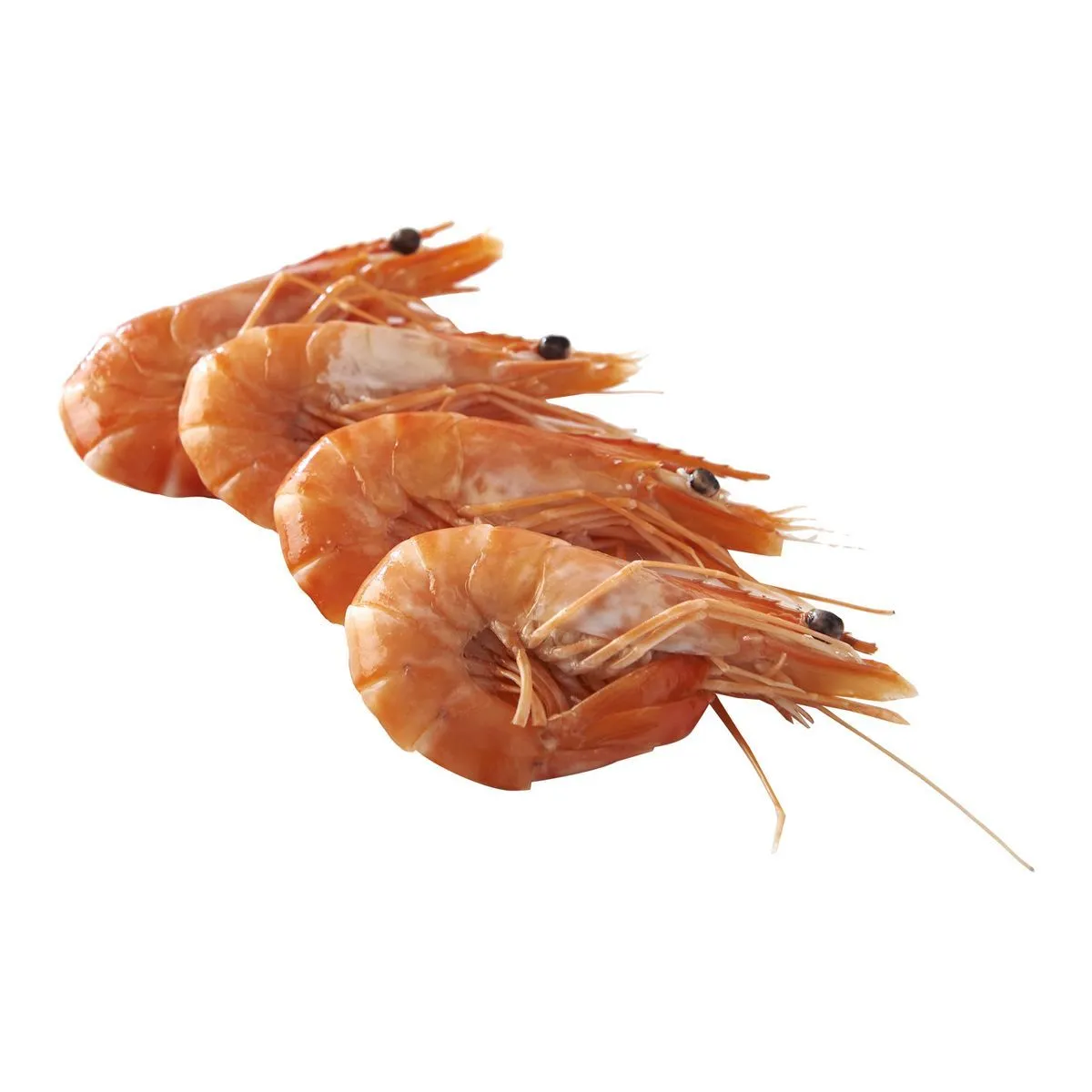 crevettes entières cuites réfrigérées