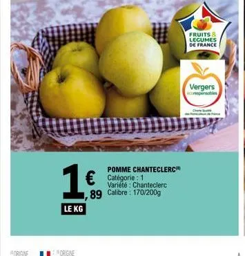 1.6  le kg  origine  pomme chanteclerc  € catégorie : 1  variété: chanteclerc  89 calibre: 170/200g  fruits & legumes de france  vergers  corespensables  