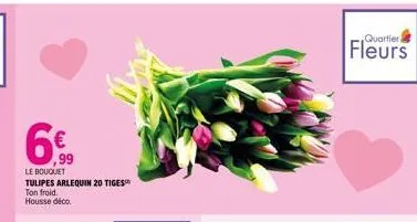 6%  ,99  le bouquet  tulipes arlequin 20 tiges  ton froid. housse déco.  quartier  fleurs 