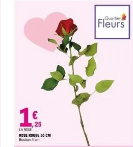 €  1,25  la rose  rose rouge 50 cm bouton 4 cm.  quartier  fleurs  