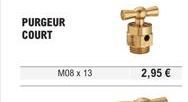 PURGEUR COURT  M08 x 13  2,95 € 