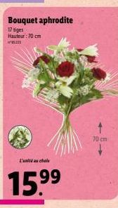 Bouquet aphrodite  17 siges Hauteur: 70 cm  201  L'unité chels  15.9⁹⁹  99  70 cm 