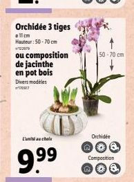 Orchidée 3 tiges  allem Hauteur: 50-70 cm  122979  ou composition  de jacinthe en pot bois  Divers modèles 0917  L'unité au choix  9.⁹⁹9  n  50-70 cm  Orchidée Q  Composition  *  Q 