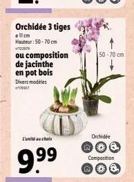 orchidée 3 tiges  allem hauteur: 50-70 cm  122979  ou composition  de jacinthe en pot bois  divers modèles 0917  l'unité au choix  9.⁹⁹9  n  50-70 cm  orchidée q  composition  *  q 