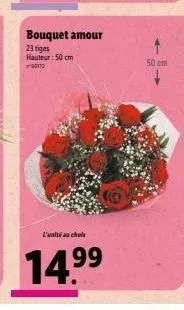 bouquet amour  23 tiges hauteur: 50 cm  0172  launihi au cholst  14.9⁹⁹  50 cm 