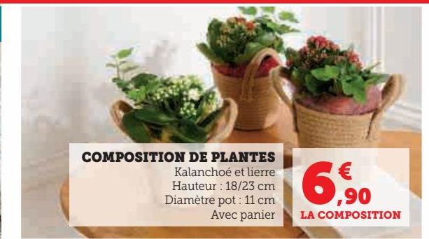 COMPOSITION DE PLANTES