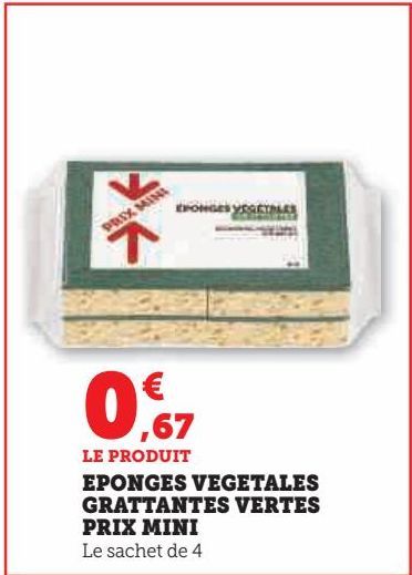 EPONGES VEGETALES GRATTANTES VERTES PRIX MINI