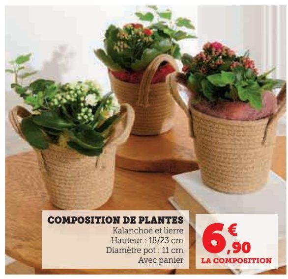 composition de plantes