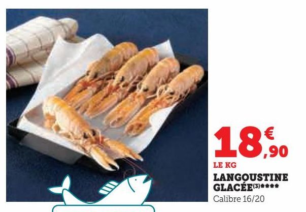 Langoustine glacée ****