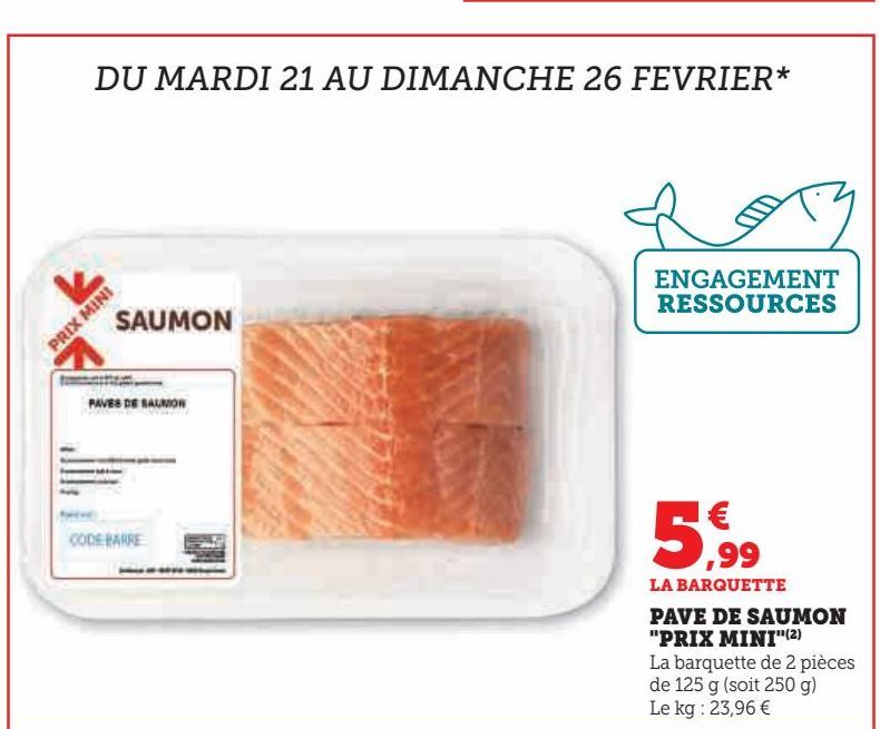 PAVE DE SAUMON  "PRIX MINI"(