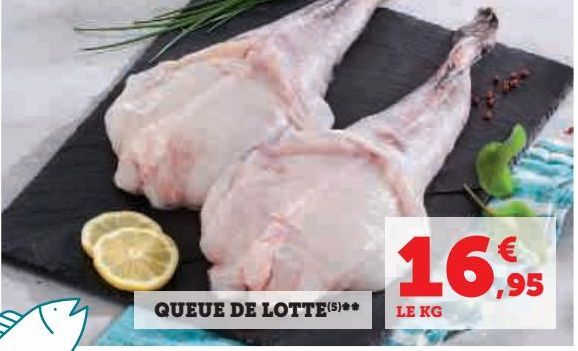 QUEUE DE LOTTE