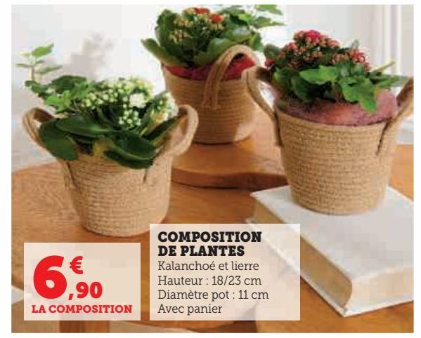 COMPOSITION DE PLANTES