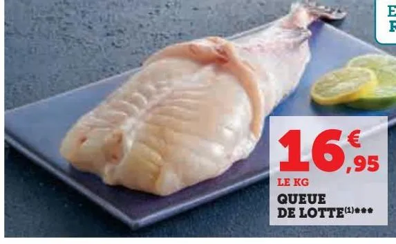 queue  de lotte