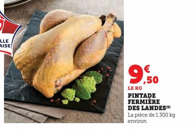 PINTADE  FERMIÈRE  DES LANDES