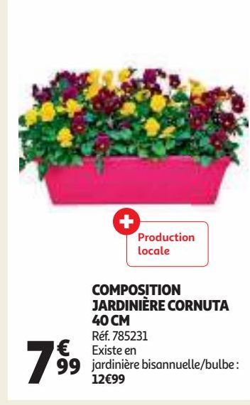 COMPOSITION JARDINIÈRE CORNUTA 40 CM