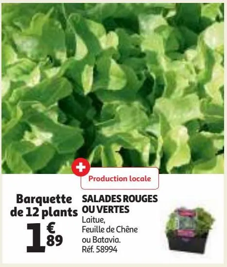 salades rouges ou vertes