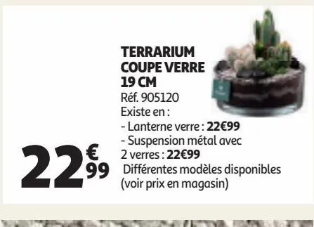 terrarium coupe verre 19 cm