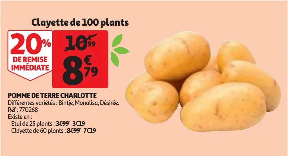 pomme de terre charlotte