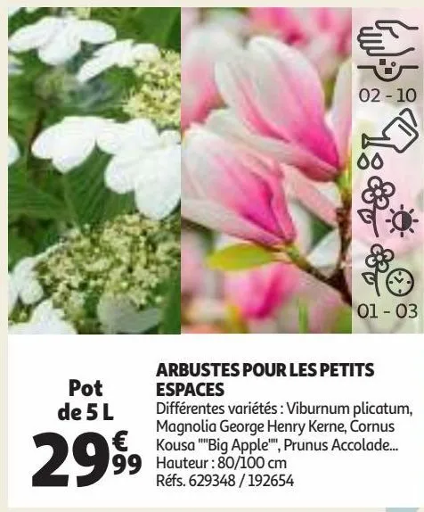 arbustes pour les petits espaces