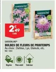 gardenline  249  l'  gardenne  gardenline  bulbes de fleurs de printemps au choix: dahlias, lys, glaieuls, etc. rm 1484 